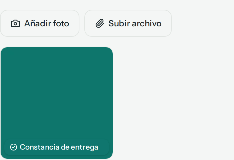 Pestaña Adjuntos con los botones Añadir foto y Subir archivo, y la foto marcada Constancia de entrega (en el teléfono)